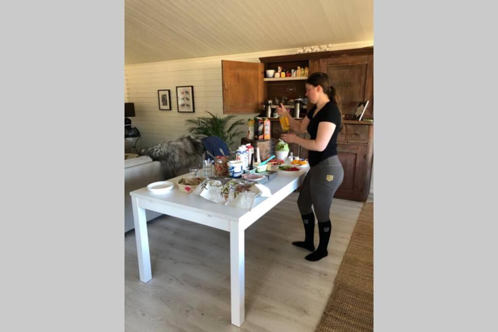 Egen Villa Pa Islandshastgard Riddarhyttan Extérieur photo
